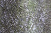 Kettleholm fibreglass roof work